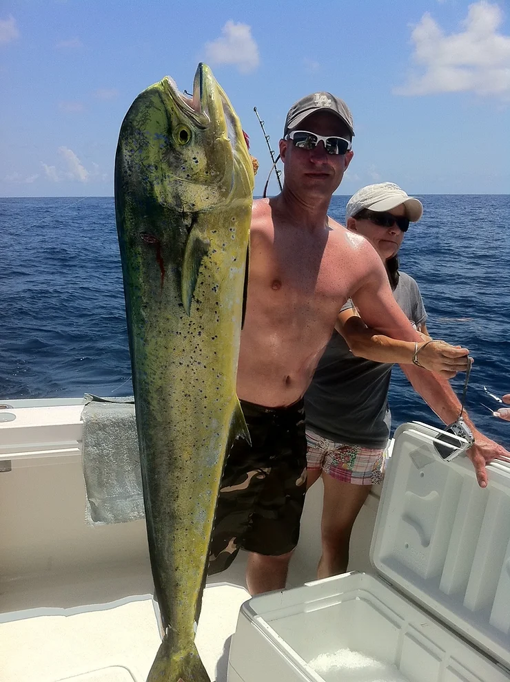 Simple Mahi Mahi Recipe